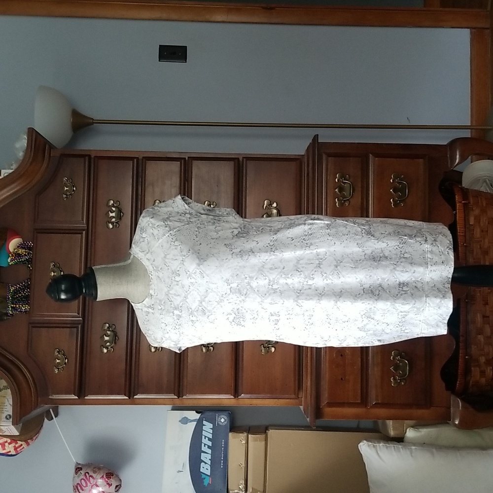 C&c California Shirt Dress